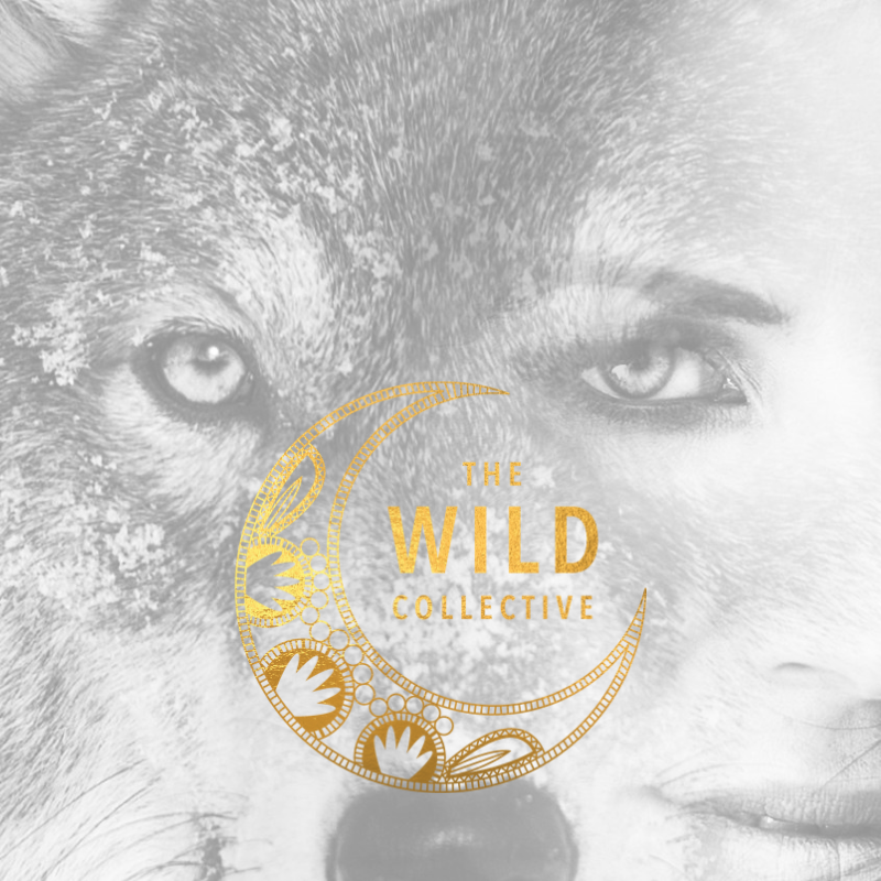 WILD DEFINED - Wildish Collective